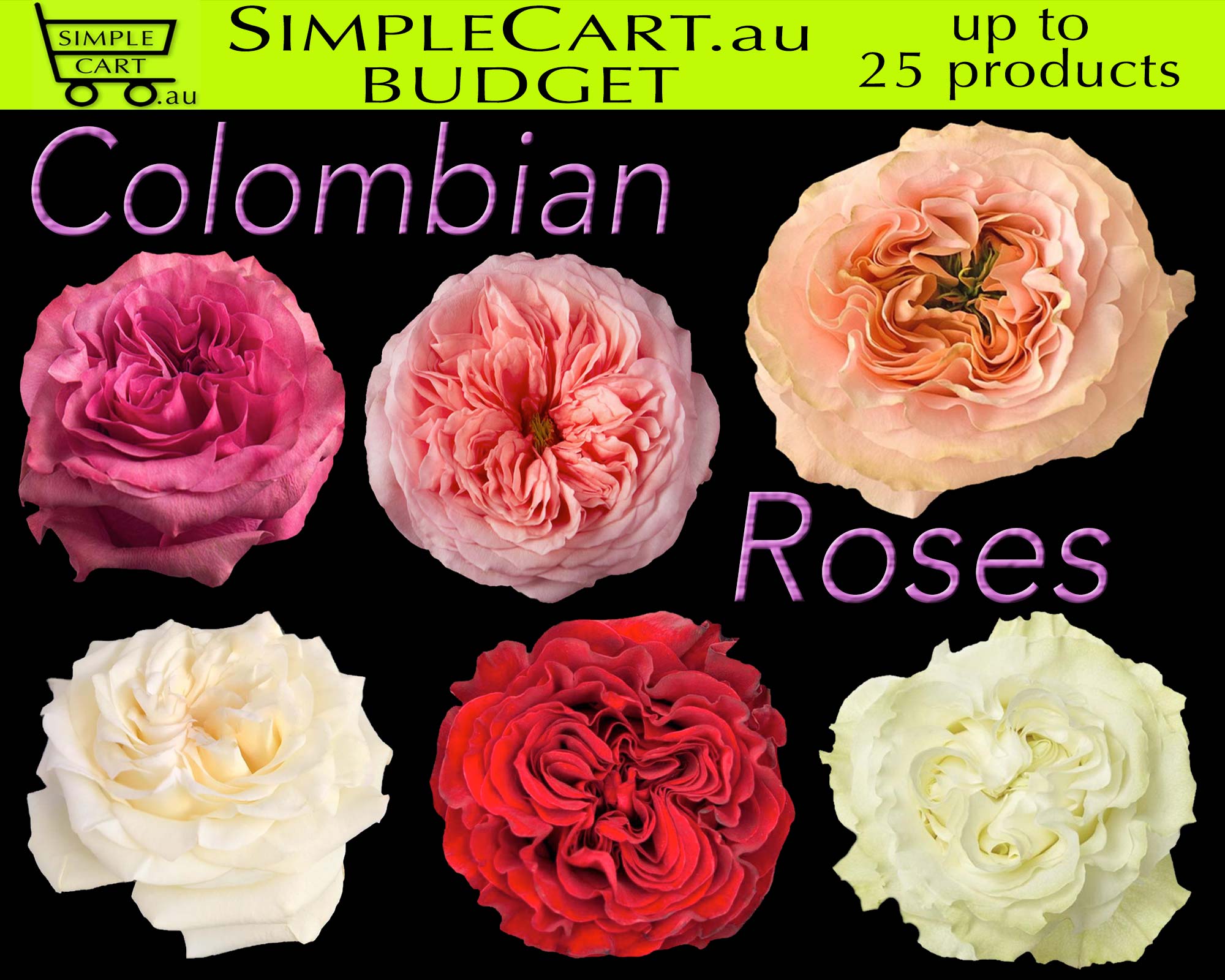 COLOMBIAN GARDEN ROSES CALOUNDRA FLORIST